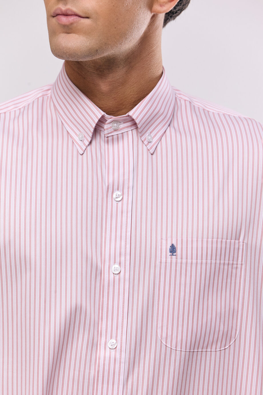 Camisa lisa regular fit