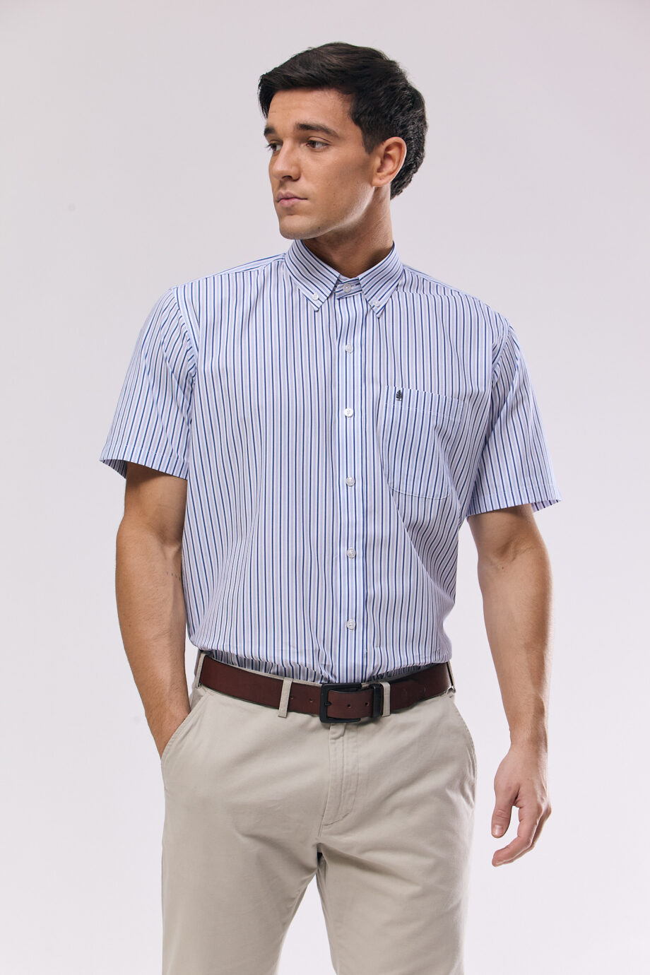 Camisa regular fit a rayas