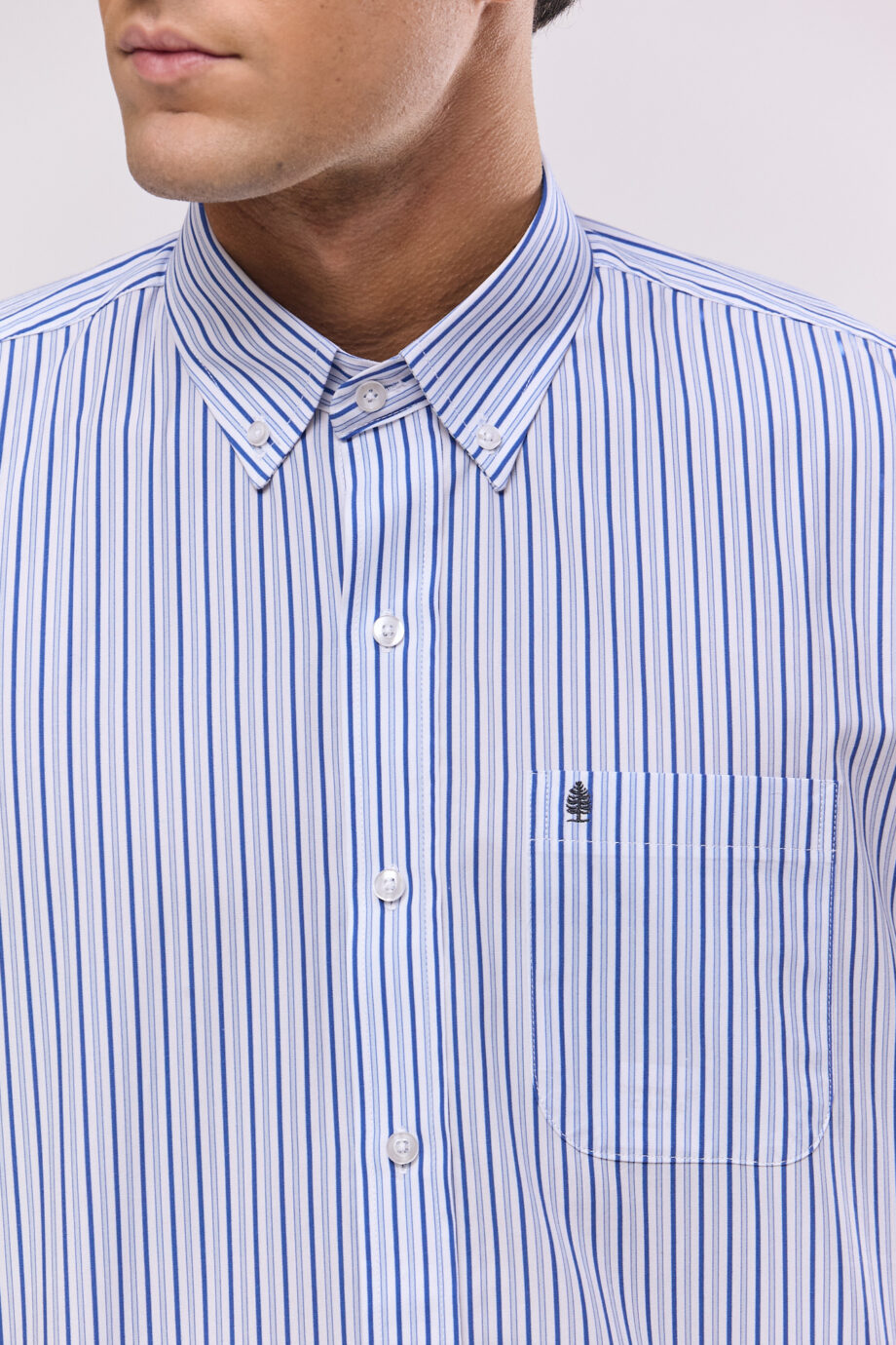 Camisa regular fit a rayas