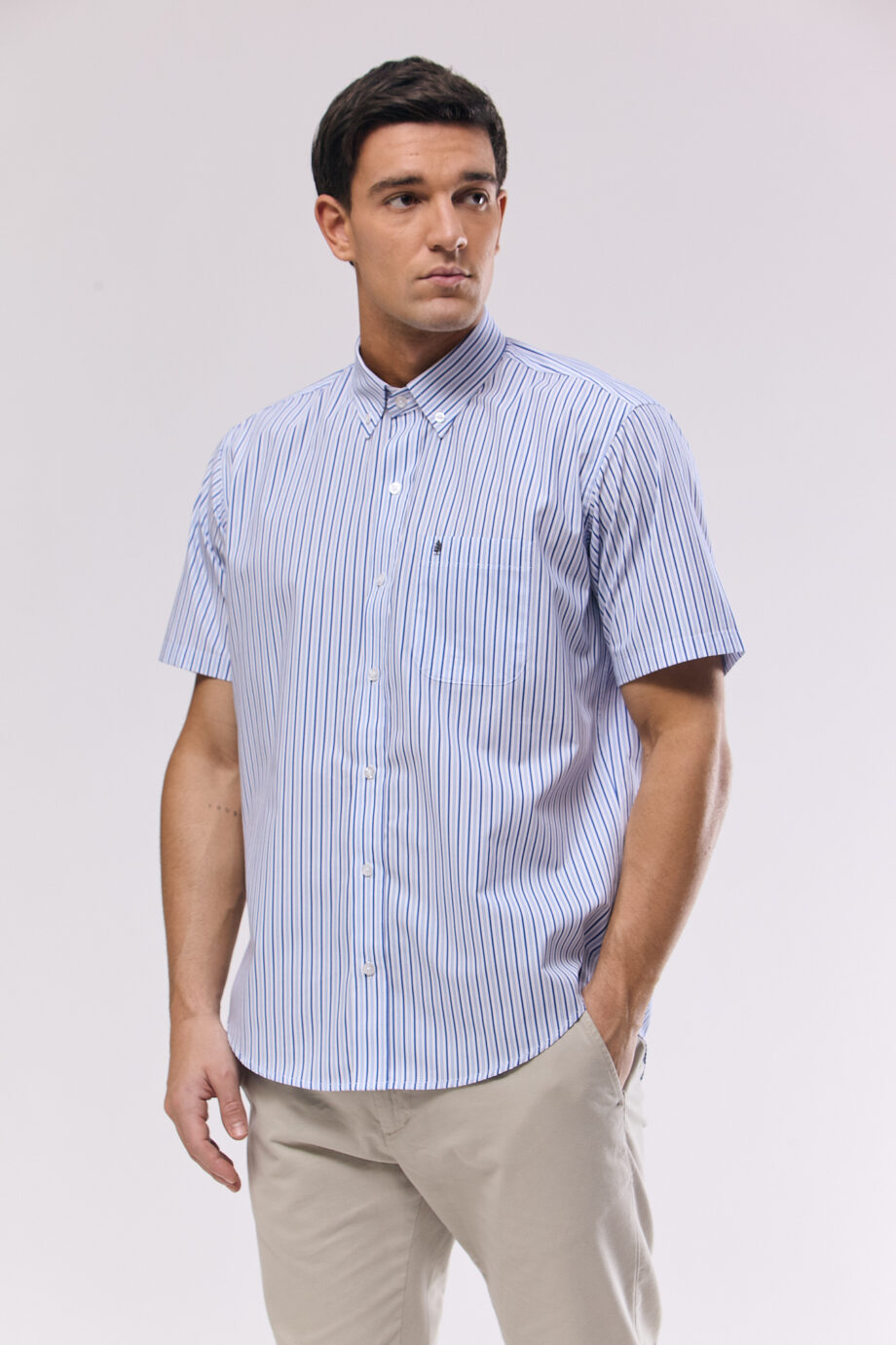 Camisa regular fit a rayas